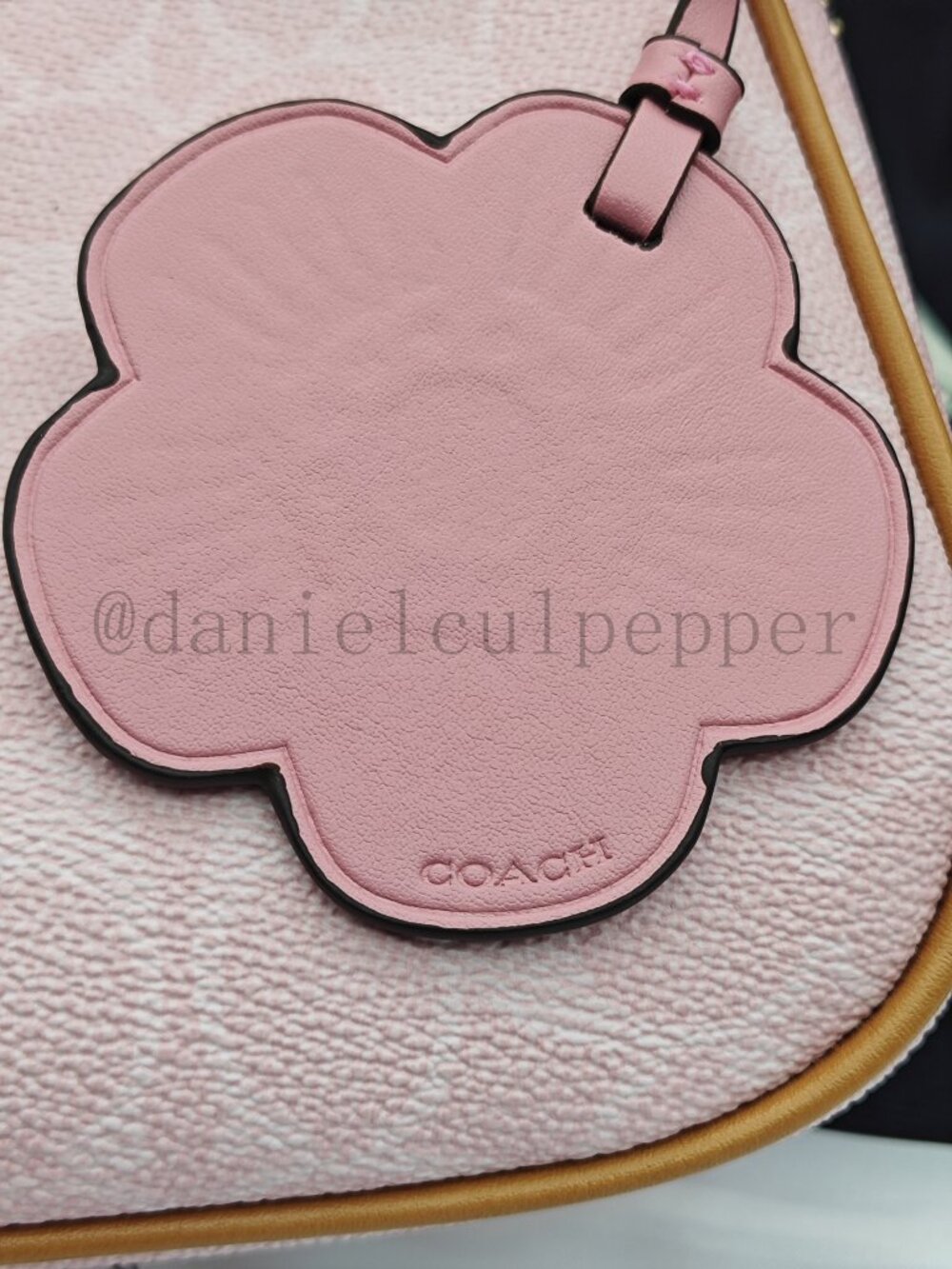 🍒🍒Coach Teri Shoulder Bag In Signature Canvas With Charms - Picture 8 of 12